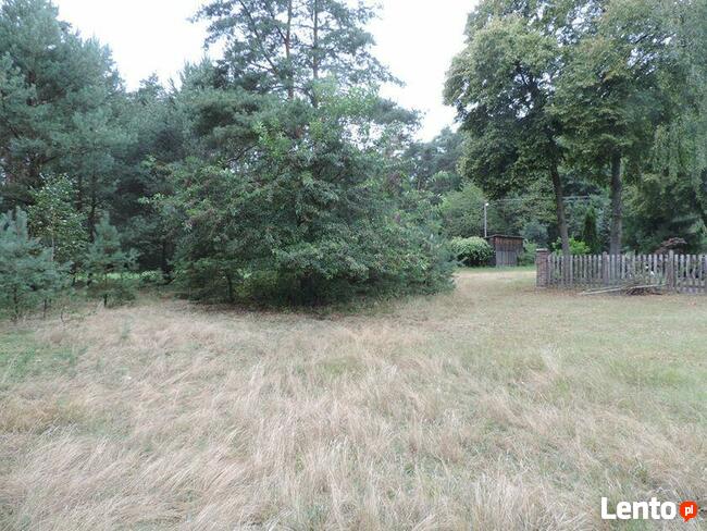 Borowiny gm. Skierniewice