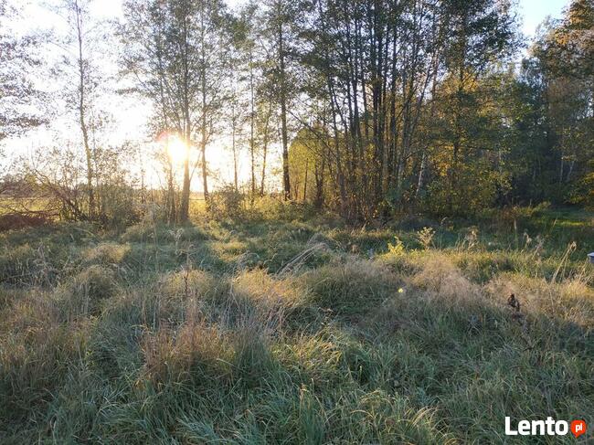 praca fizyczna w siedlisku