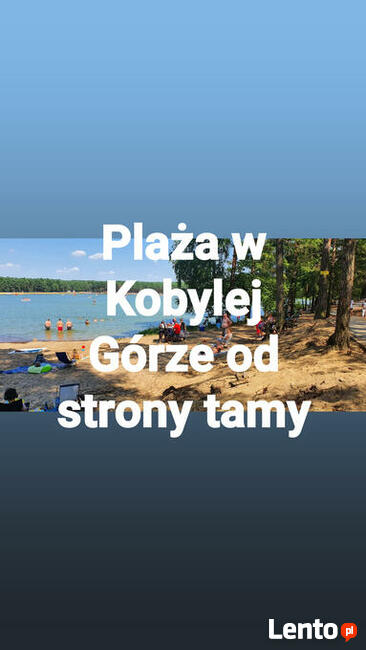 Wynajmuje domki holenderskie na wypoczynek