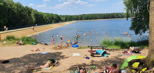 Wynajmuje domki holenderskie na wypoczynek