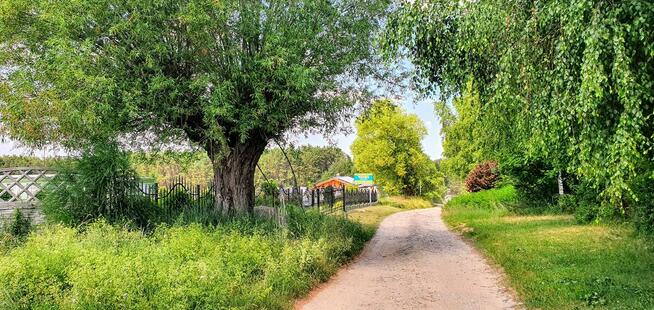 Wynajmuje domki holenderskie na wypoczynek