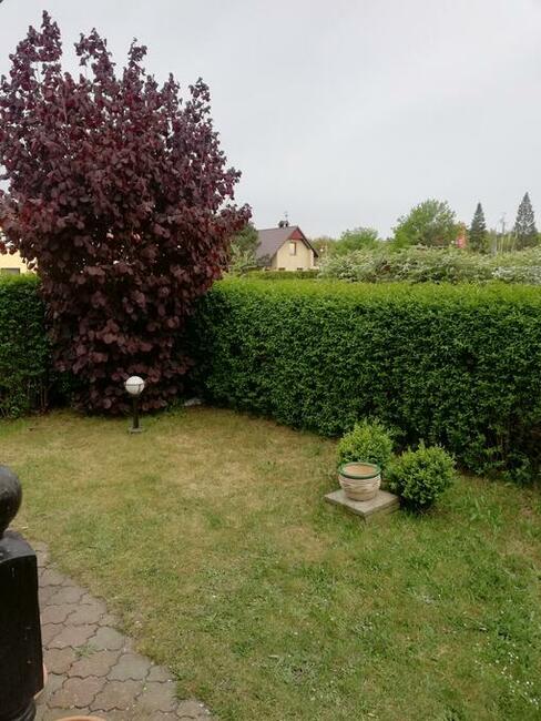 Rowy-gotowiec inwestycyjny nad morzem