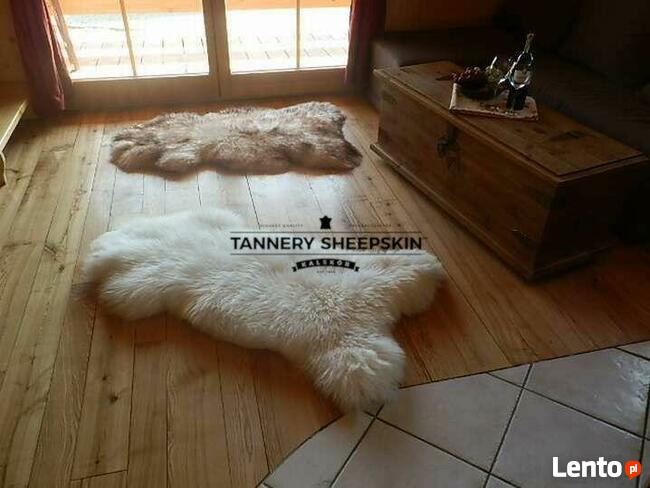 Skóra Owcza Biała GIGANT Skóry Owcze Skóra Naturalna XXXL