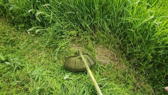 Koszenie trawników i trawy