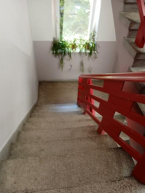 Grunwald ładne 3 pokojowe mieszkanie na IIIp