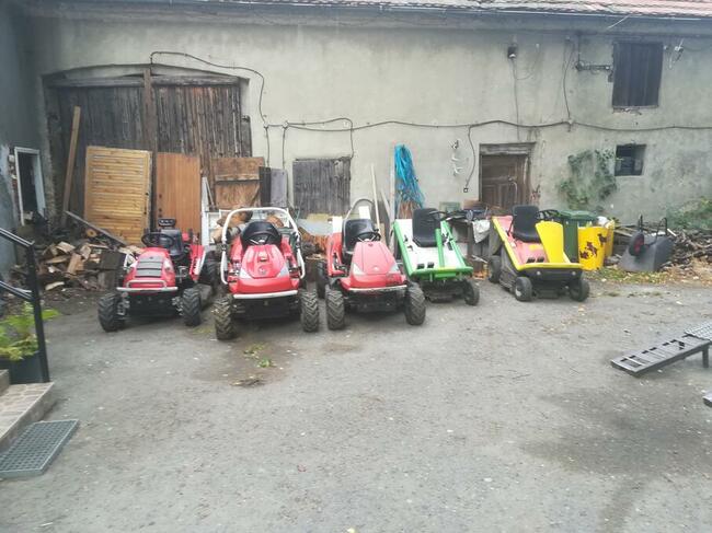 Koszenie trawy i wycinka samosiejek