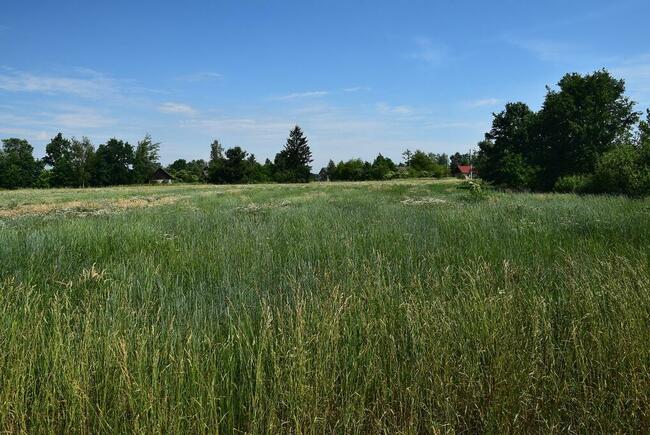 DZIAŁKI BUDOWLANE W SPOKOJNYM MIEJSCU - RADWAN GMINA SZCZUC