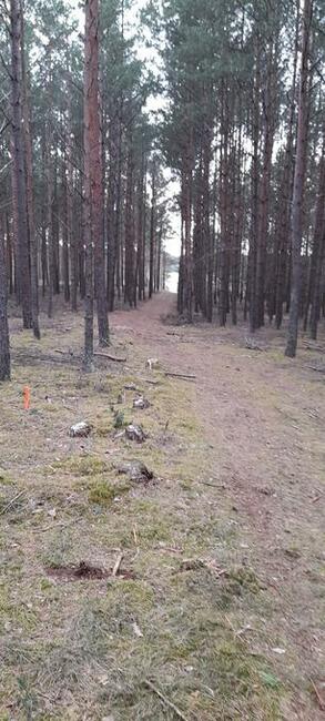 działka leśno -rekreacyjna