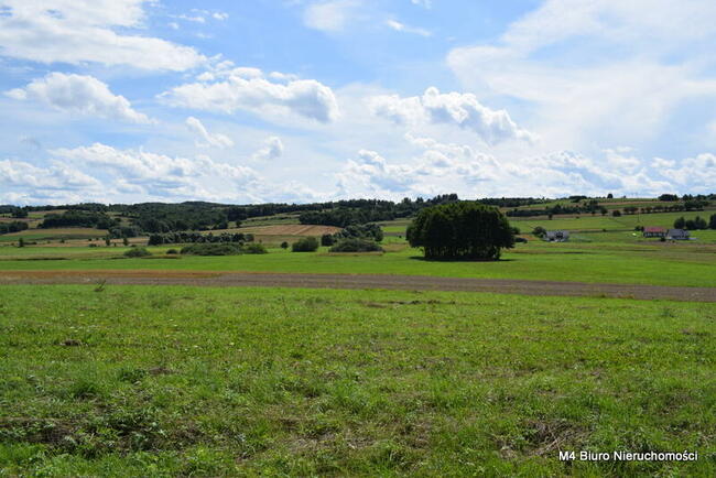 DZIAŁKI W ROGACH NA OŚ. DOMKÓW JEDNORODZINNYCH