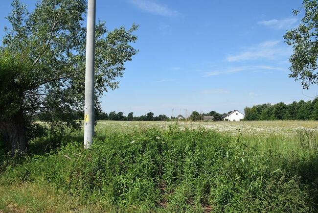 DZIAŁKI BUDOWLANE W SPOKOJNYM MIEJSCU - RADWAN GMINA SZCZUC