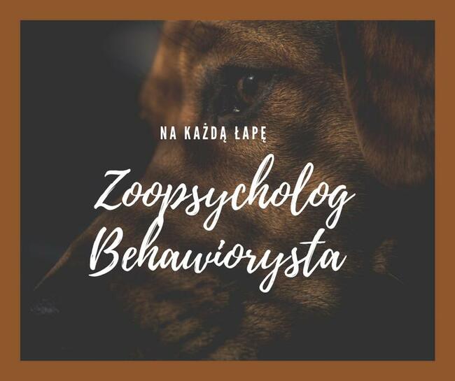 Behawiorysta psów zoopsycholog Na każdą łapę