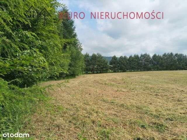 Lalin - Działka dla miłośników przyrody! NOWA NIŻSZA CENA!!