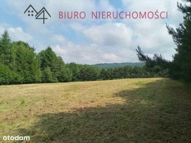 Lalin - Działka dla miłośników przyrody! NOWA NIŻSZA CENA!!