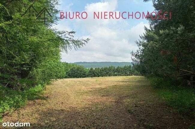 Lalin - Działka dla miłośników przyrody! NOWA NIŻSZA CENA!!