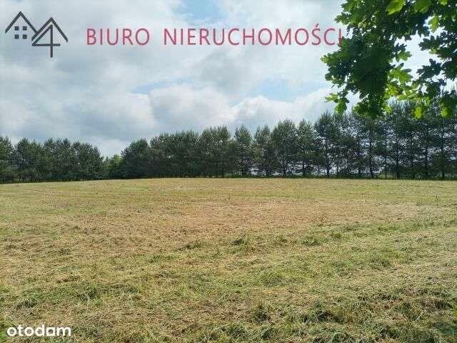 Lalin - Działka dla miłośników przyrody! NOWA NIŻSZA CENA!!