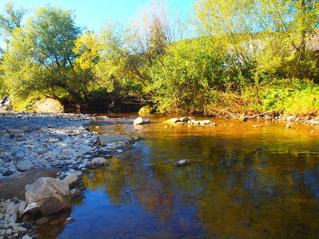 Urokliwa działka ze 100-letnim domem w Beskidzie Niski