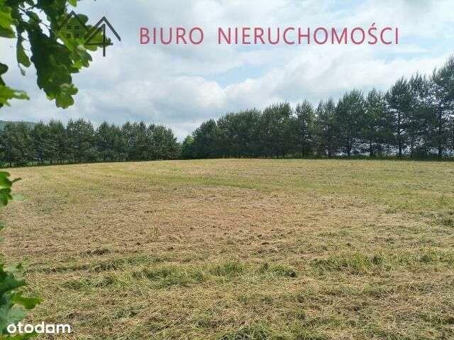 Lalin - Działka dla miłośników przyrody! NOWA NIŻSZA CENA!!