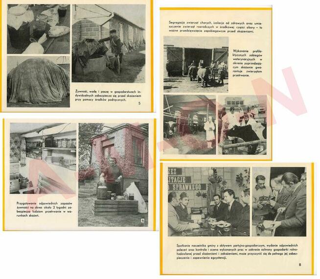 FOTOSERWIS OBRONY CYWILNEJ 44