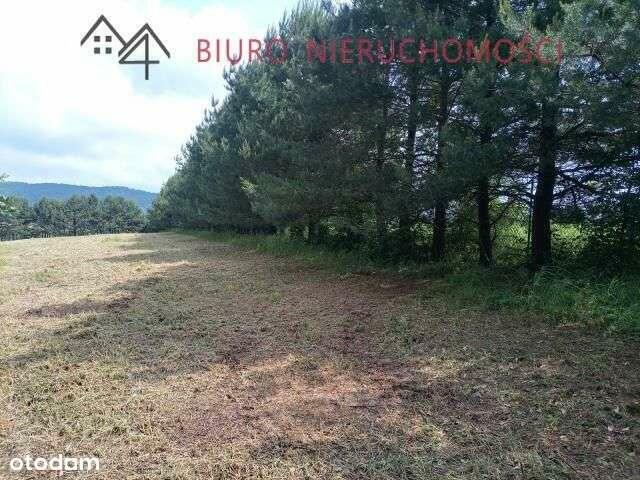 Lalin - Działka dla miłośników przyrody! NOWA NIŻSZA CENA!!