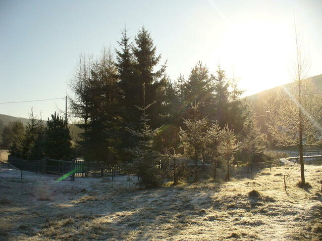 Urokliwa działka ze 100-letnim domem w Beskidzie Niski