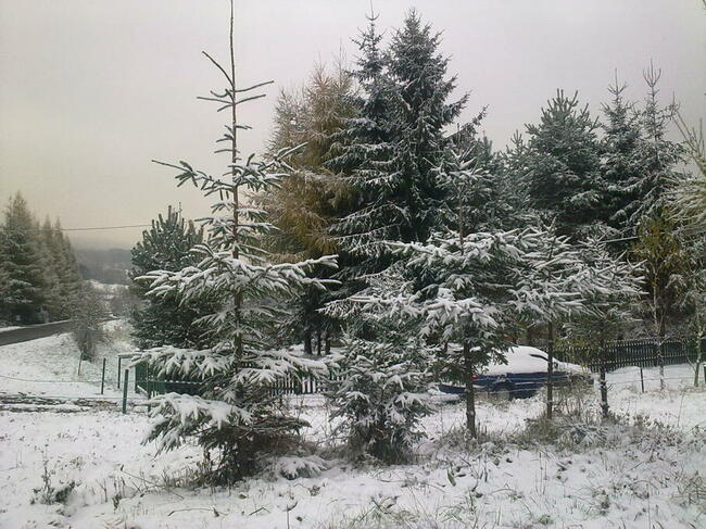 Urokliwa działka ze 100-letnim domem w Beskidzie Niski