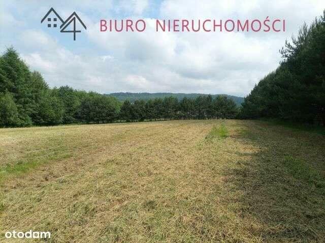 Lalin - Działka dla miłośników przyrody! NOWA NIŻSZA CENA!!