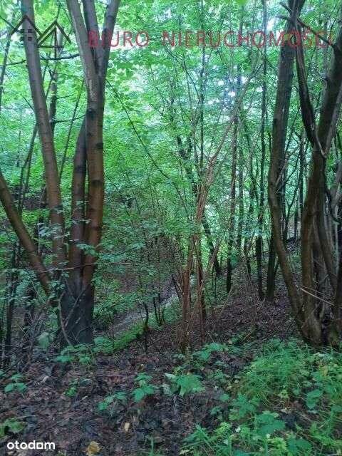 Lalin - Działka dla miłośników przyrody! NOWA NIŻSZA CENA!!