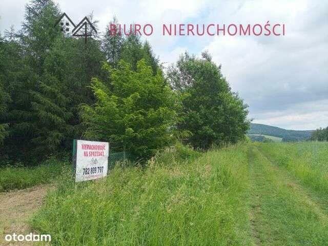 Lalin - Działka dla miłośników przyrody! NOWA NIŻSZA CENA!!