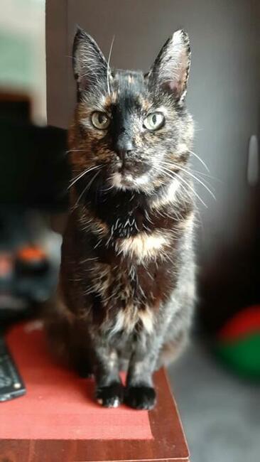 ️ ️Lubię lekko zezowate.