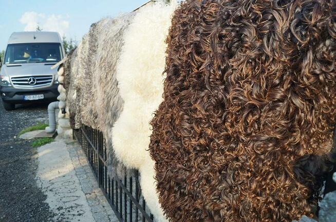 Mix Kolorów, Szwedzkie, Rozmiar (XS-XL), Skóra owcza, Dywan