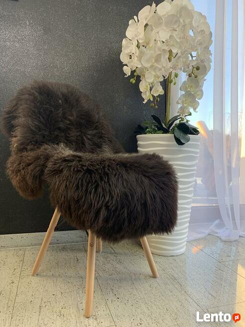 Mix Kolorów, Szwedzkie, Rozmiar (XS-XL), Skóra owcza, Dywan