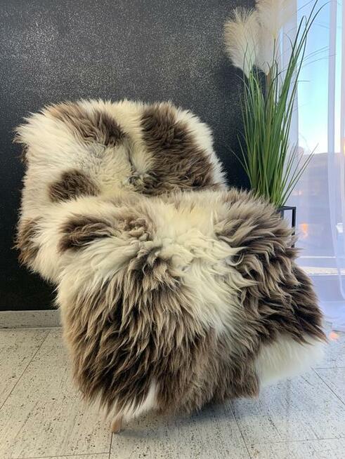 Mix Kolorów, Holenderskie, Texel, (XS-XL),Skóra owcza, Dywan