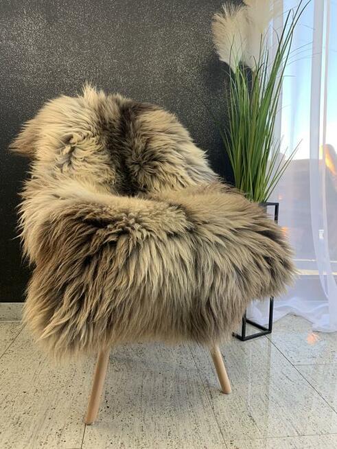 Dywan, Rozmiar (SX-XL), Skóra owcza Holenderska Texel