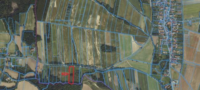 Działka Rolna (3000 m2) Słupice