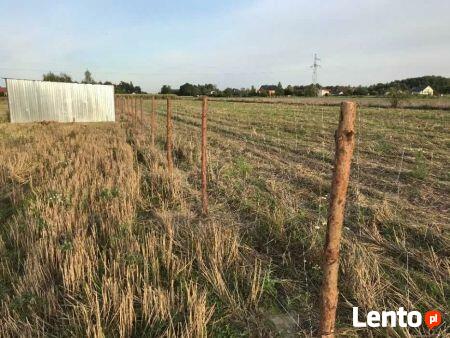 Ogrody Prace Porządkowe Wycinki Ogrodzenia Kompleksowo Inne