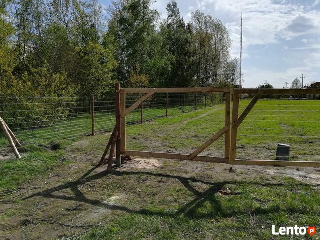 Ogrodzenie Tymczasowe siatka leśna już 16 zl. za mb