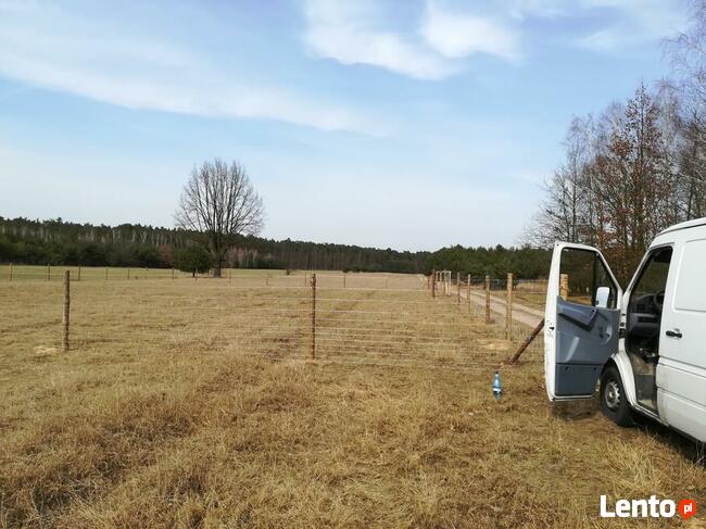 Ogrodzenie Tymczasowe siatka leśna już 16 zl. za mb