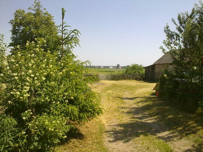 nieruchomość w małej wsi, sprzedam / zamienię, PODLASIE