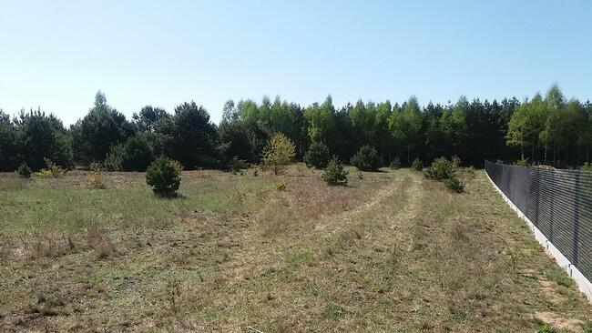 sprzedam działkę z warunkami zabudowy na poj. gostynińskim