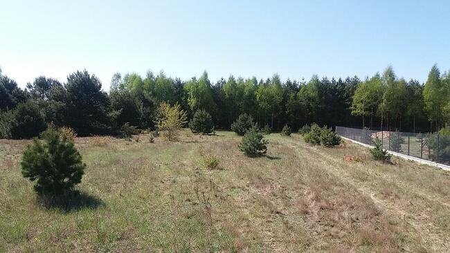 sprzedam działkę z warunkami zabudowy na poj. gostynińskim