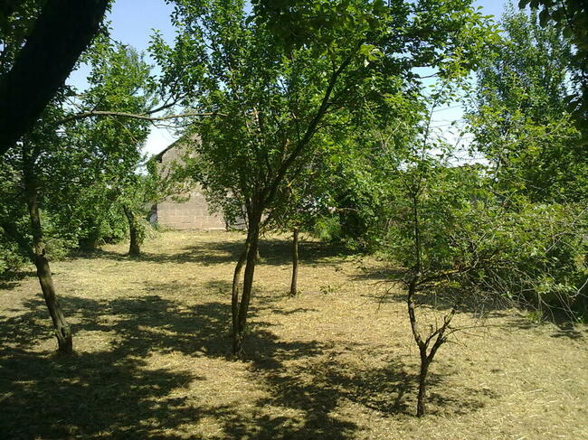 nieruchomość w małej wsi, sprzedam / zamienię, PODLASIE