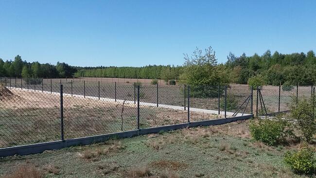 sprzedam działkę z warunkami zabudowy na poj. gostynińskim