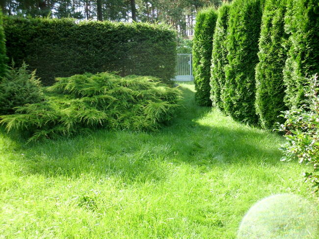 mieszkanie+dz.bud.+dz.rolna za całość 290 tyś.zł.