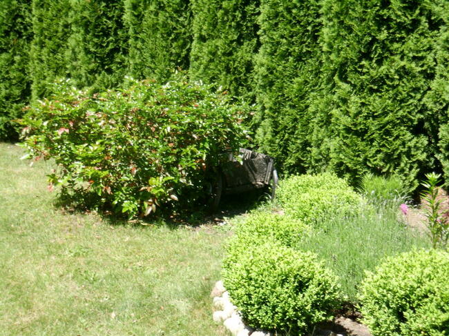 mieszkanie+dz.bud.+dz.rolna za całość 290 tyś.zł.