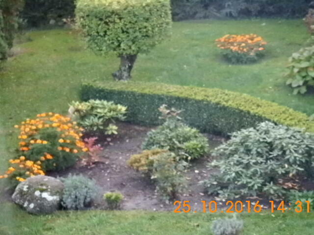 mieszkanie+dz.bud.+dz.rolna za całość 290 tyś.zł.