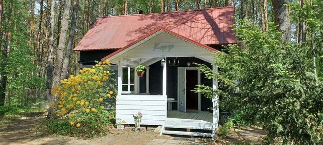 Wilga - urokliwy dom z bala na weekend lub wakacje