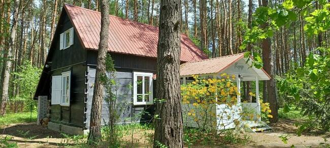 Wilga - urokliwy dom z bala na weekend lub wakacje