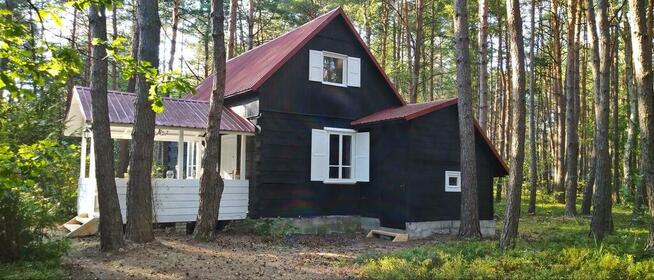 Wilga - urokliwy dom z bala na weekend lub wakacje