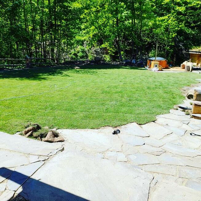 Trawnik z rolki z montażem i fakturą