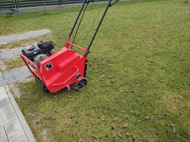 Trawnik z rolki z montażem i fakturą